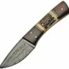 Damascus Fixed Blade Stag and Wood
