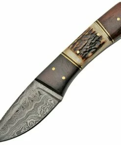 Damascus Fixed Blade Stag and Wood
