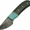 Damascus Skinner Horn Turquoise