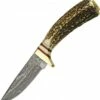 Damascus Whitetail Skinner