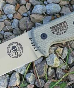 ESEE Model 5 Survival
