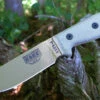 ESEE Model 4 Plain Edge