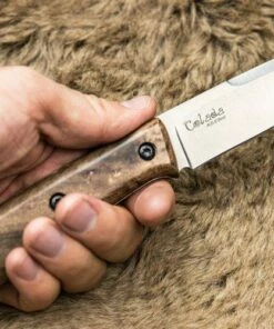 Kizlyar Supreme Colada AUS8 Satin Walnut -Crkt Sales Store kizlyar supreme colada aus8 satin walnut