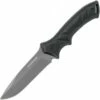 Schrade SCHF31